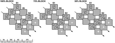 Emotion regulation strategies differentially modulate neural activity across affective prediction stages: An HD-EEG investigation